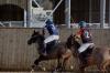 Oxford Polo 2023_01_08 0042